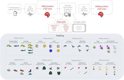 Spatio-Temporal Neural Changes After Task-Switching Training in Old Age